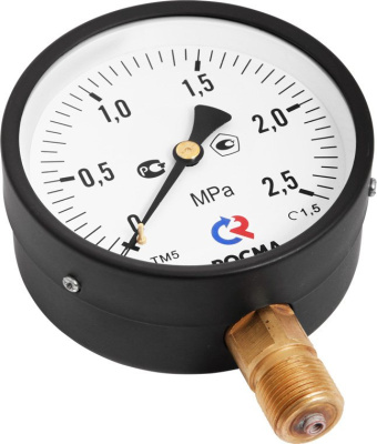 Манометр общетехнический ТМ-510Р  0 - 0,1 МПа Ø 100 M20x1,5 радиальный (нижнее подключение) IP40