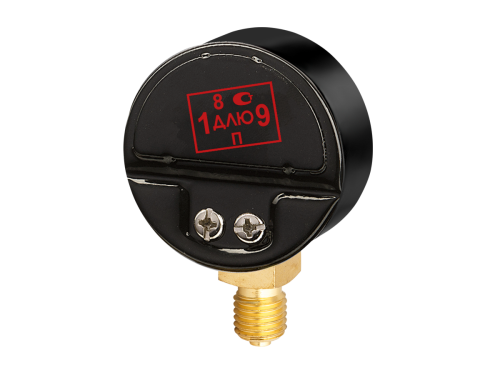 Манометр аргоновый  ТМ-210Р AR (0-40/14L/MIN) 0,6MPa ,50мм , М12 х 1,5 (аксиальный), кл.2,5