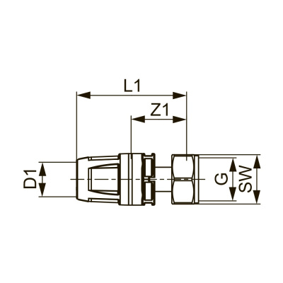 Соединение с накидной гайкой 25 х 1" внутренняя резьба PPSU-латунь TECElogo-Push 8630204